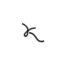 Men's and Women's Symbol 