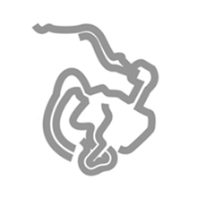 Pipe Smoking Man